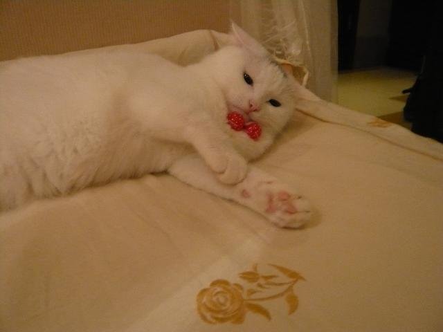 解闷的基本解释