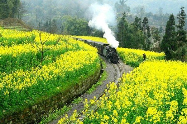 多米头条是不是传销？