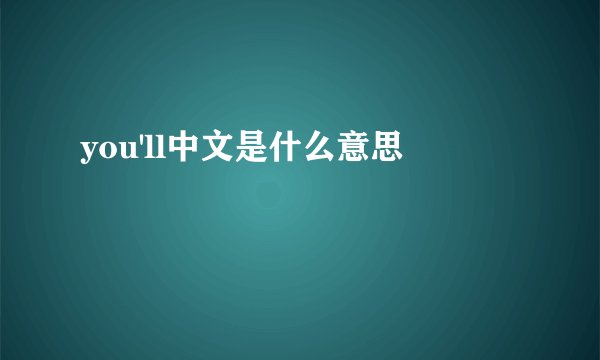 you'll中文是什么意思