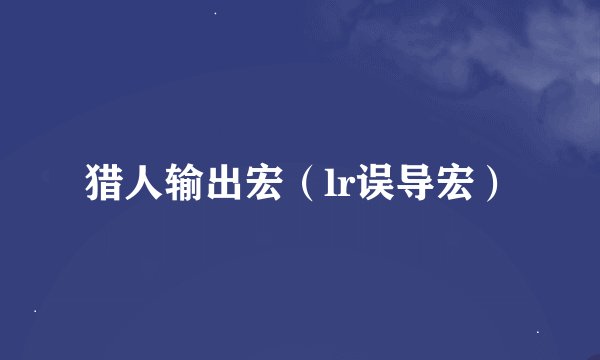 猎人输出宏（lr误导宏）