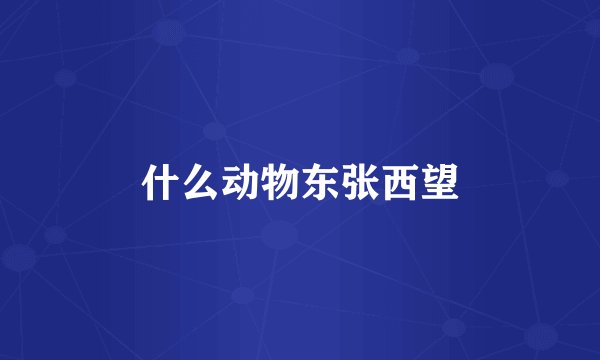 什么动物东张西望