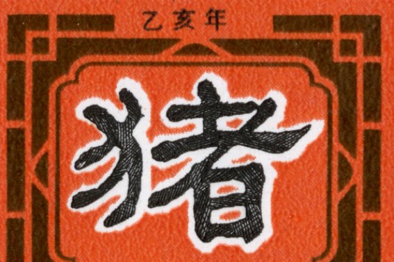 乙亥年是什么意思