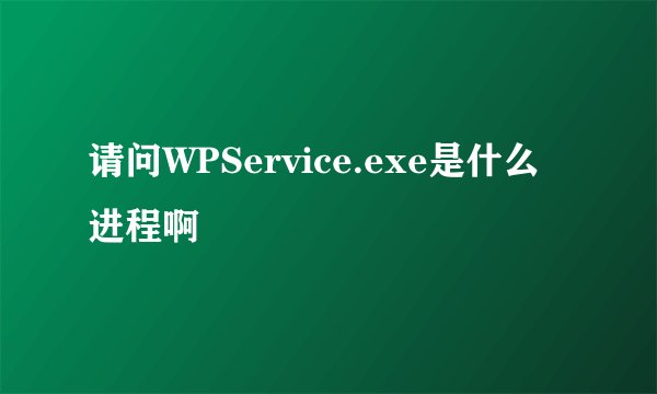 请问WPService.exe是什么进程啊
