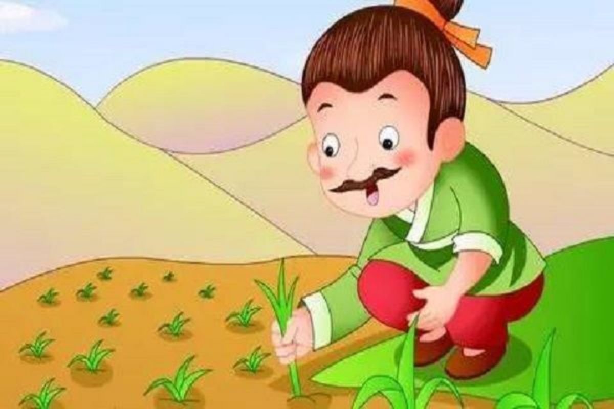 望子成龙的家长往往( )苗助长