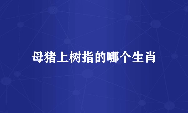 母猪上树指的哪个生肖