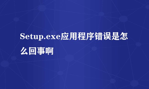 Setup.exe应用程序错误是怎么回事啊