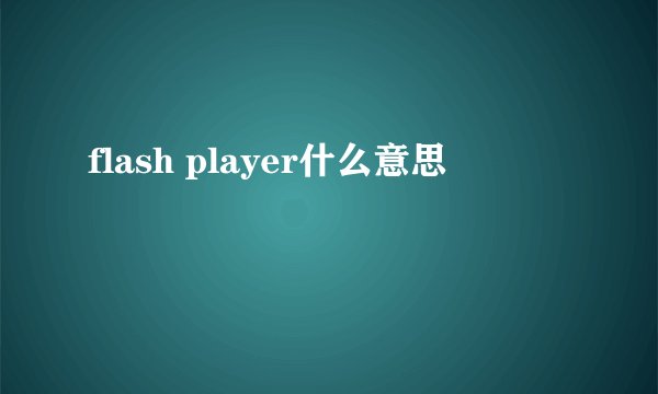 flash player什么意思