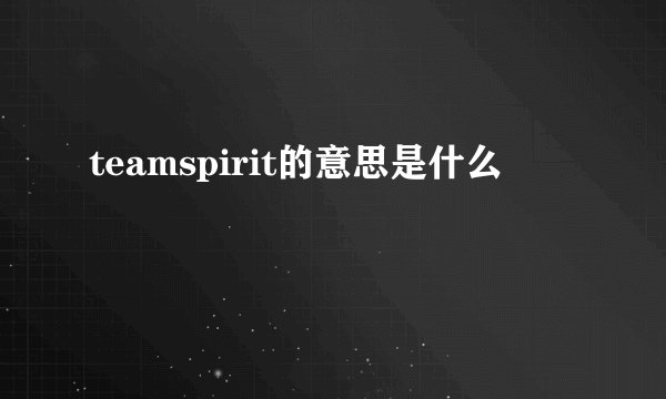 teamspirit的意思是什么