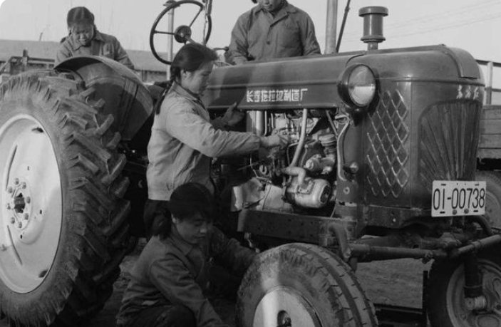 东北男子与冒牌妻子同床共枕52天才知妻子已遇害，事情的经过是怎样的？