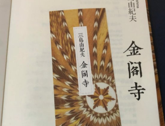 小黄车的书有哪些