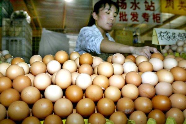 韩国鸡蛋价格暴涨四成，追加进口1500万枚鸡蛋，导致暴涨的原因是什么？