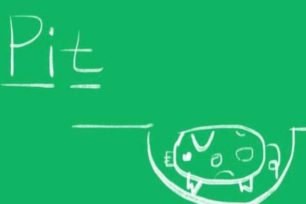 pit是什么缩写