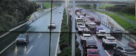 重庆主城暴雨来袭，大蛇被冲到马路，当地的受灾情况如何？