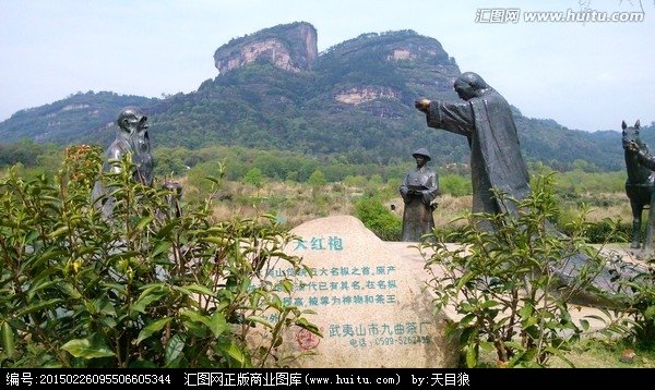 武夷山门户网的网站定位