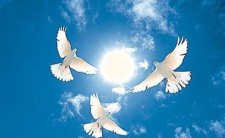 和平鸽的形象由谁所创？