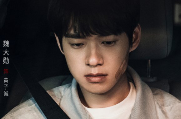 电视剧特工任务多少集