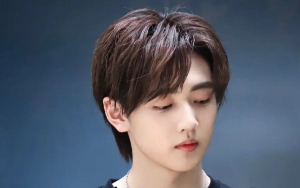 陪你到世界之巅演员表