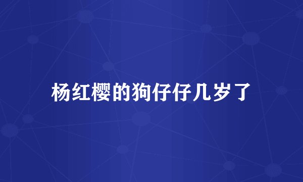 杨红樱的狗仔仔几岁了