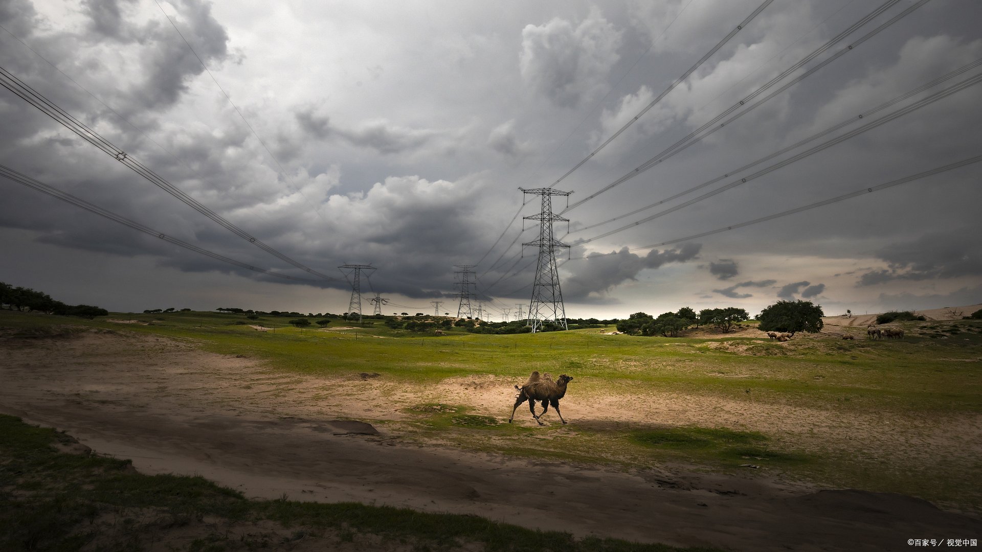 多地取暖用煤价格涨超2倍，要怎样安排才能保证供暖？