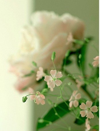 静默之堂的介绍