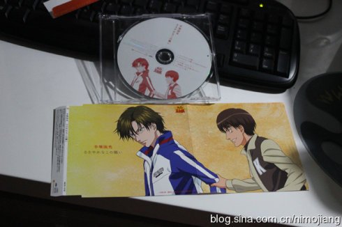 你是我的手冢国光的介绍