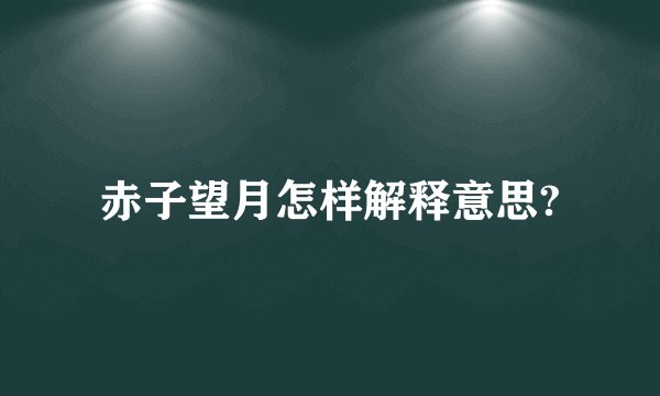 赤子望月怎样解释意思?