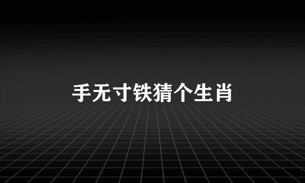 手无寸铁猜个生肖