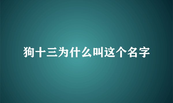 狗十三为什么叫这个名字