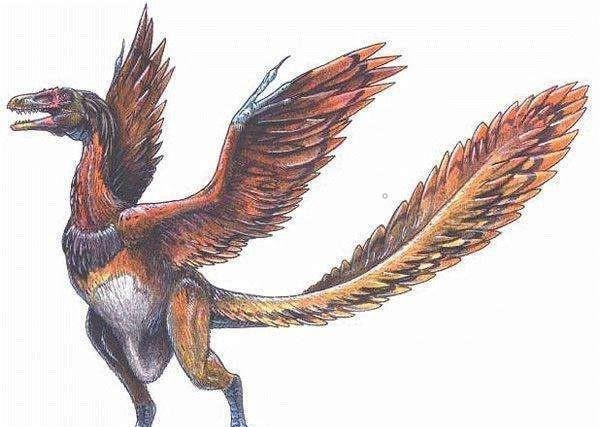 地球系统科学小讲堂丨谈谈恐龙大灭绝和生物大灭绝