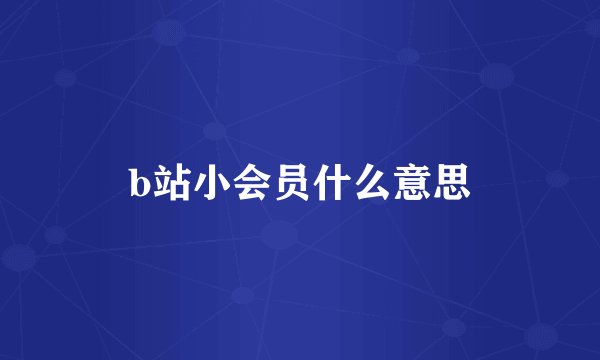 b站小会员什么意思