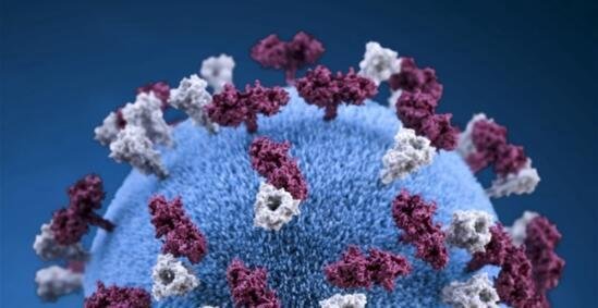 内蒙古关联18例阳性餐厅老板发声 这是咋情况？