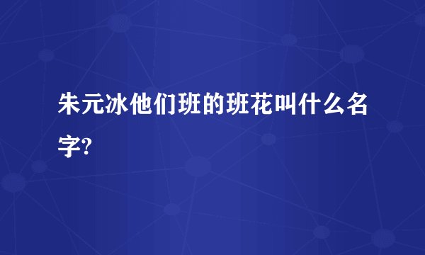 朱元冰他们班的班花叫什么名字?