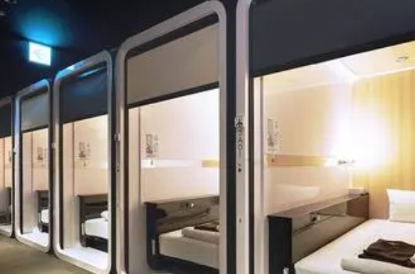 樱花未增删的动漫有哪些？