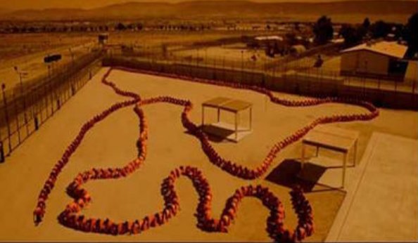 人体蜈蚣结局是什么？