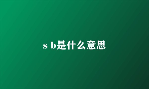 s b是什么意思