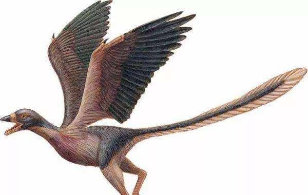 地球系统科学小讲堂丨谈谈恐龙大灭绝和生物大灭绝