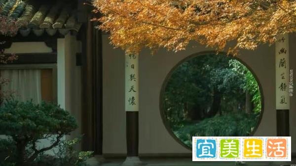 心有沉香，何惧浮世？