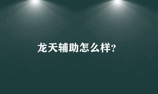 龙天辅助怎么样？