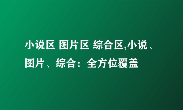 小说区 图片区 综合区,小说、图片、综合：全方位覆盖