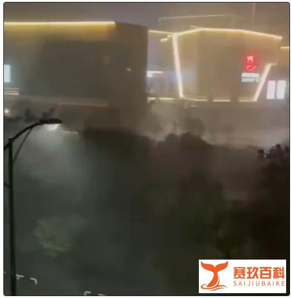 台风梅花登陆:狂风大作 暴雨横飞 这是咋情况？