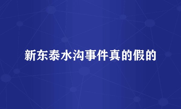 新东泰水沟事件真的假的