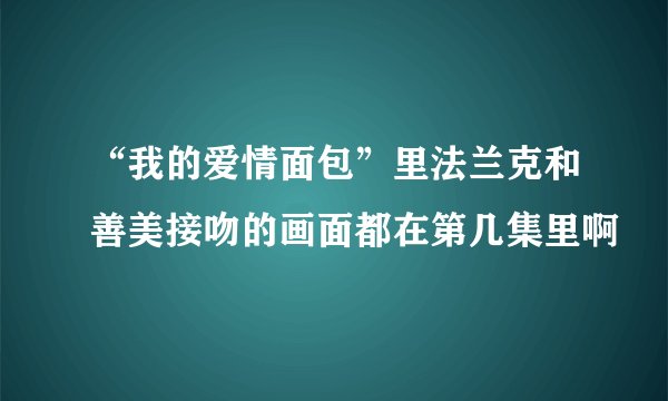 “我的爱情面包”里法兰克和善美接吻的画面都在第几集里啊
