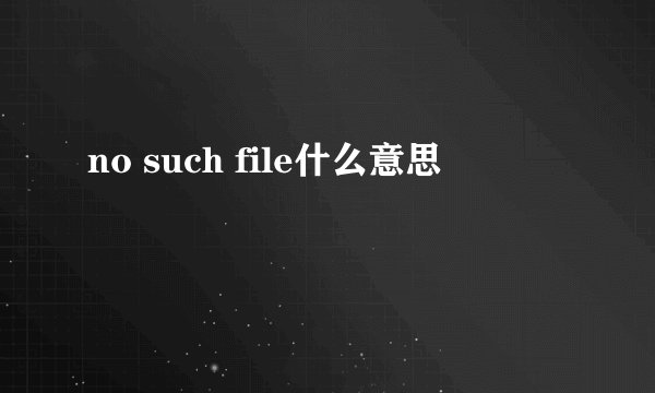 no such file什么意思