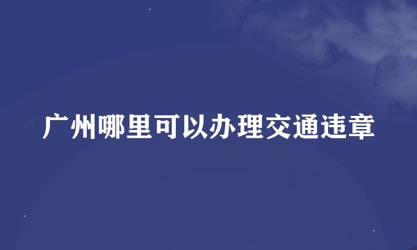 广州哪里可以办理交通违章