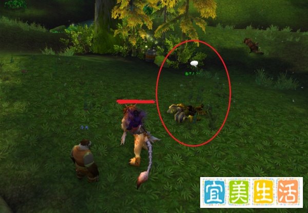 魔兽世界任务——重组！