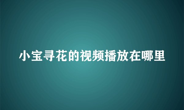 小宝寻花的视频播放在哪里