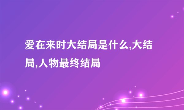 爱在来时大结局是什么,大结局,人物最终结局