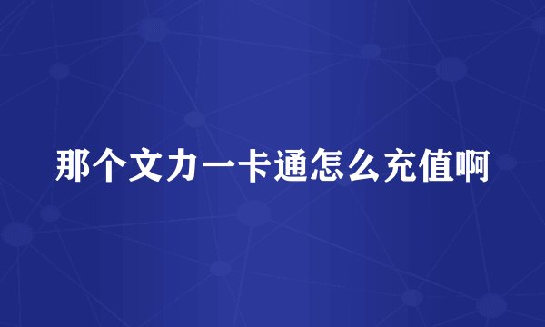 那个文力一卡通怎么充值啊