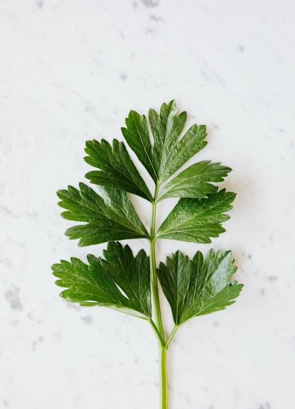 《地母经》庚子年|两广洪水，金水太过，预测2020整年运气走向