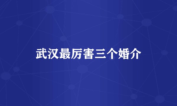 武汉最厉害三个婚介